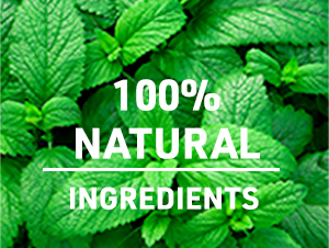 TEACURRY Teatox Tea with Free Diet Chart - (100 GMS Teatox Tea + Infuser) Helps With Detox, Lose Water Weight, Lose Fat | Teatox Green Tea for Weight Loss