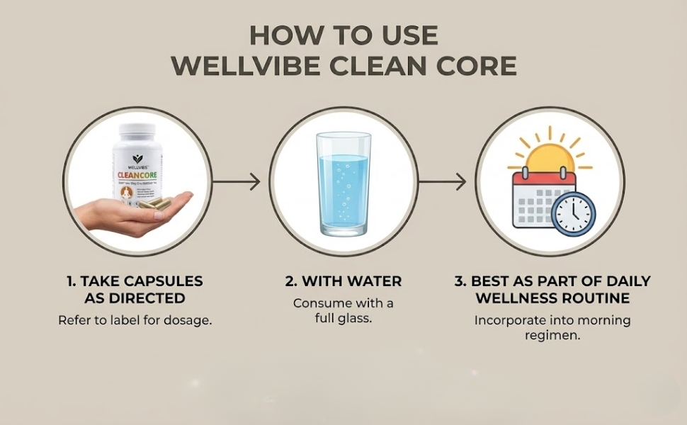 Clean Core Ayurvedic Detox Capsules 500mg | Body Cleanse & Toxin Removal Supplement | Supports Liver Kidney Gut Health | Boosts Energy & Immunity | 60 Capsules Wellvibe