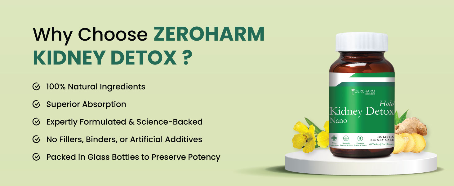 ZEROHARM Holo Kidney Detox | Herbal Creatinine & Kidney Support with Varuna, Punarnava,Pathachata | Kidney Detox & Cleanse for Men & Women | Nano Formulated Ayurvedic Health Supplement - 60 Tablets