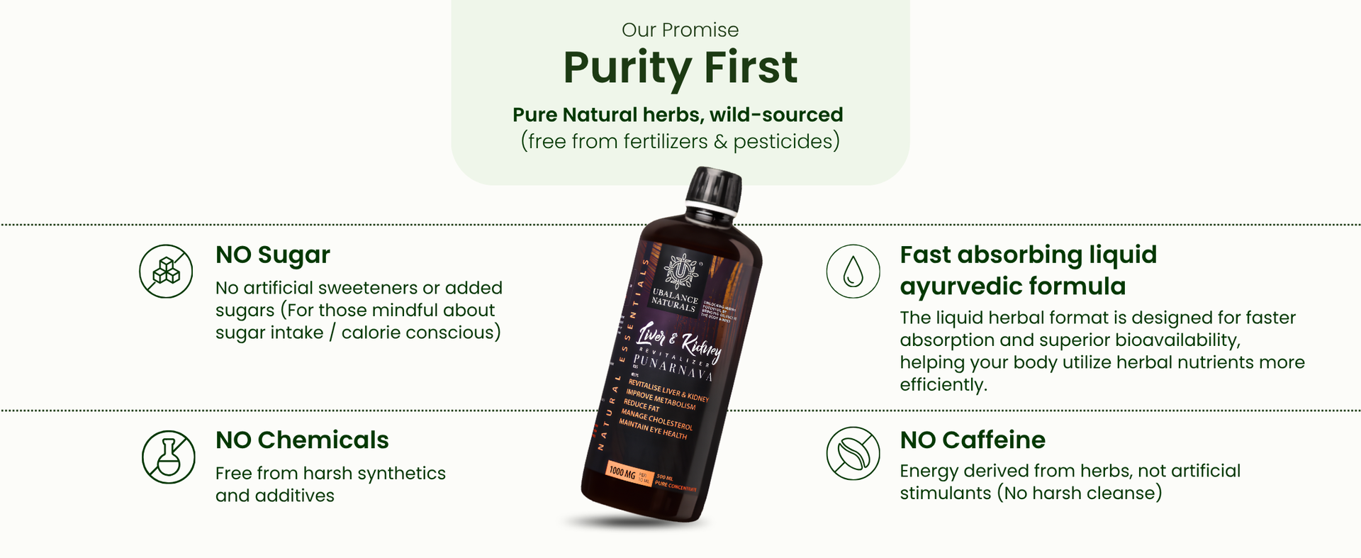 Liver & Kidney Revitalizer | Detox Support I 500 ML