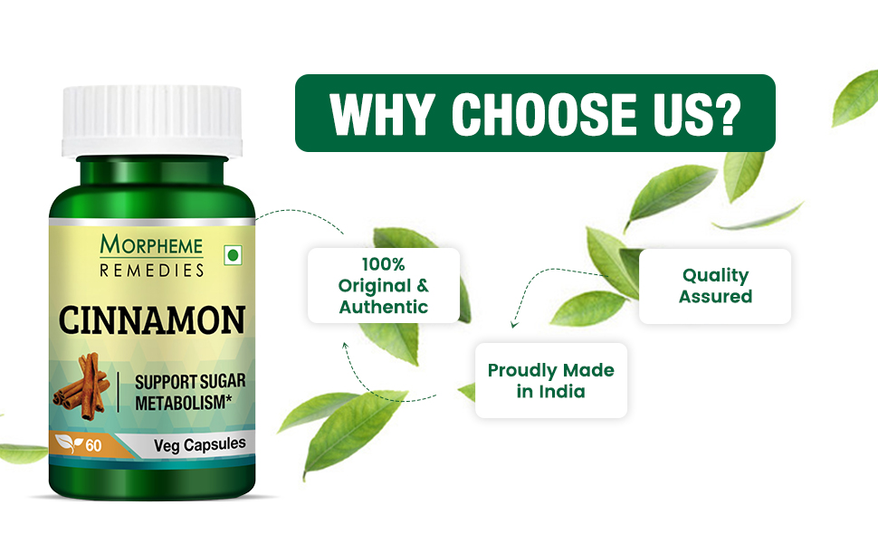 Morpheme Remedies Cinnamon Extract (500 mg, 60 Veg Capsules, 1 Bottle)