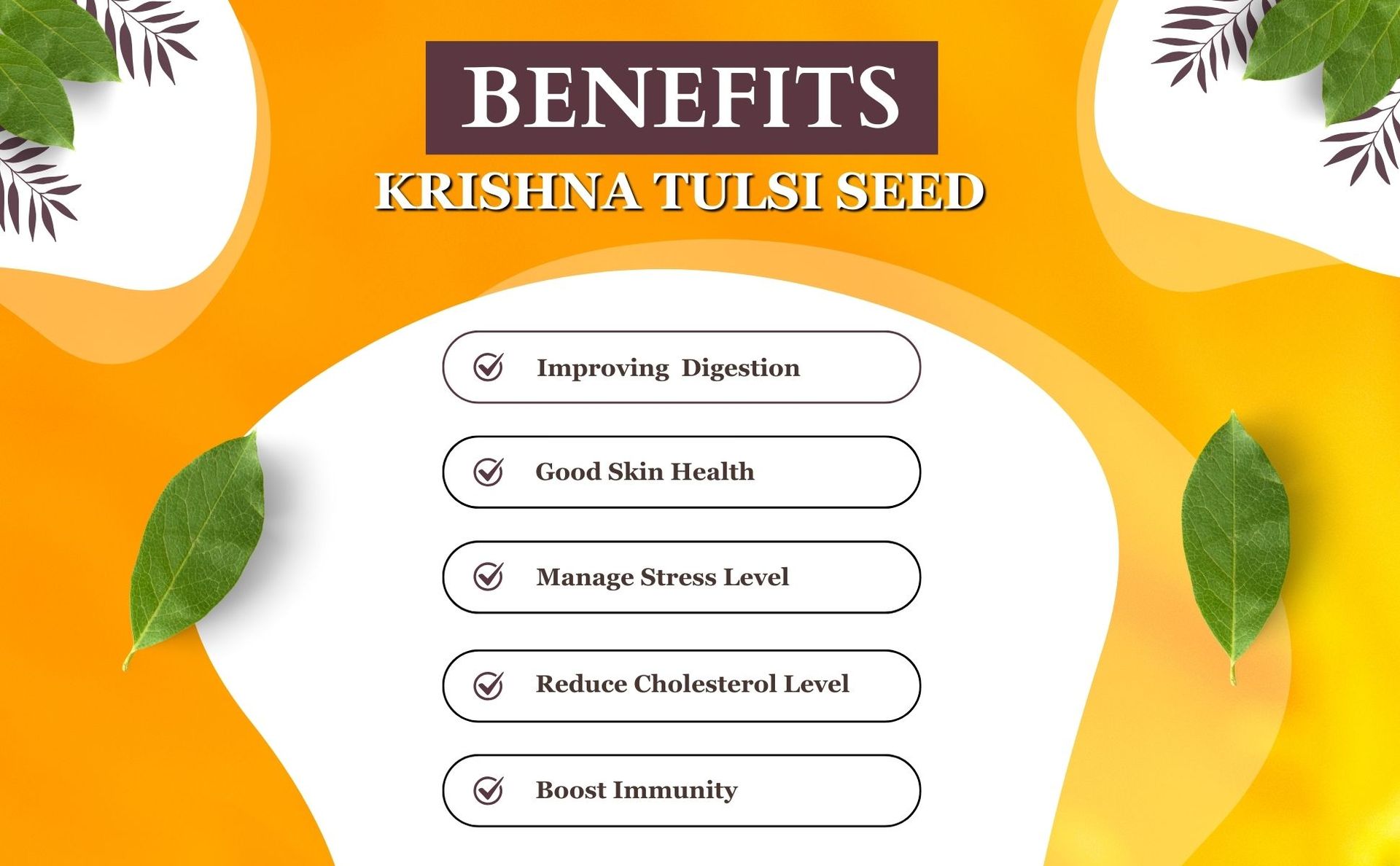 Brijbooti Krishna Tulsi Seeds For Eating (200 Gr) - Shyama Tulsi - Black Tulsi Seeds - Tulsi Seeds