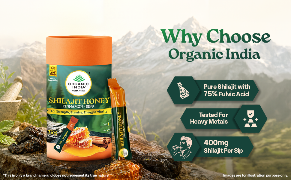 A TATA Product - Organic India Cinnamon Shilajit Honey Sips, 240g