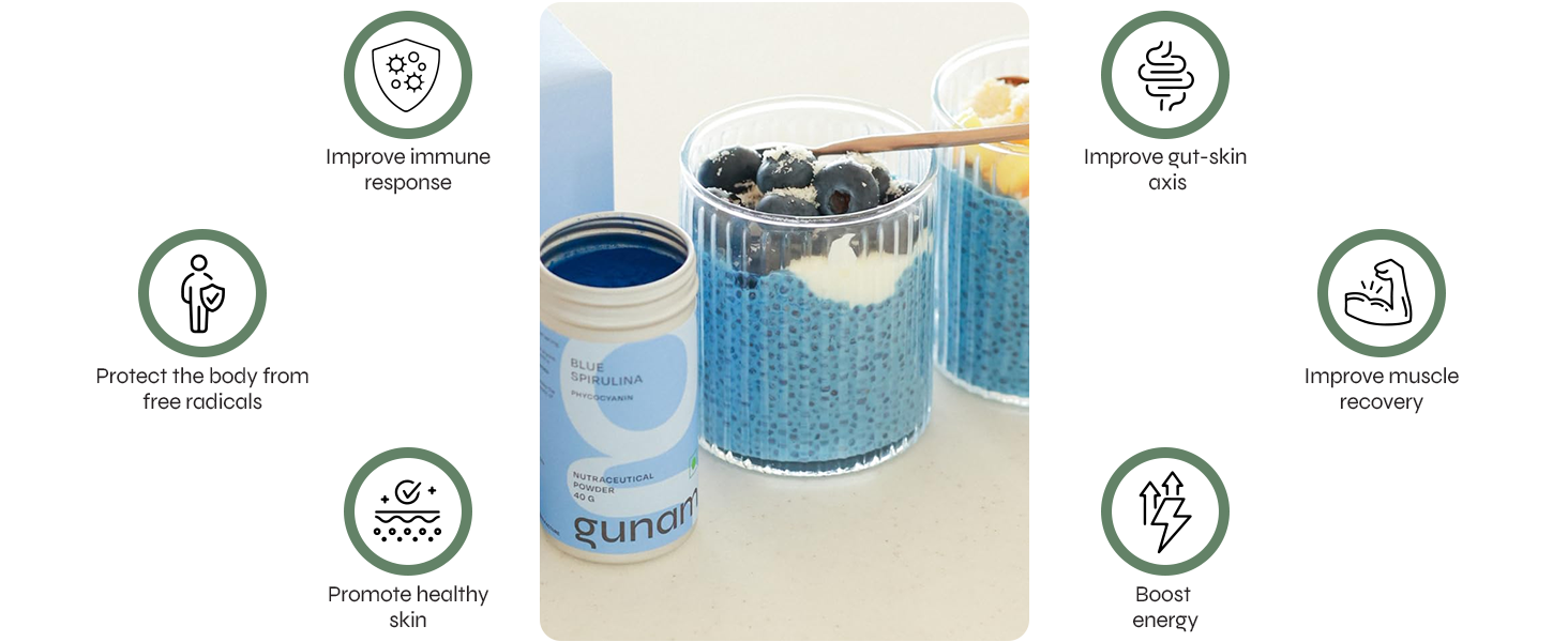 Gunam Blue Spirulina Powder (60 Servings) | Superfood Powder with Phycocyanin, Amino Acids, and Iron | Antioxidant & Anti-Inflammatory | Supports Immunity, Gut & Skin Health