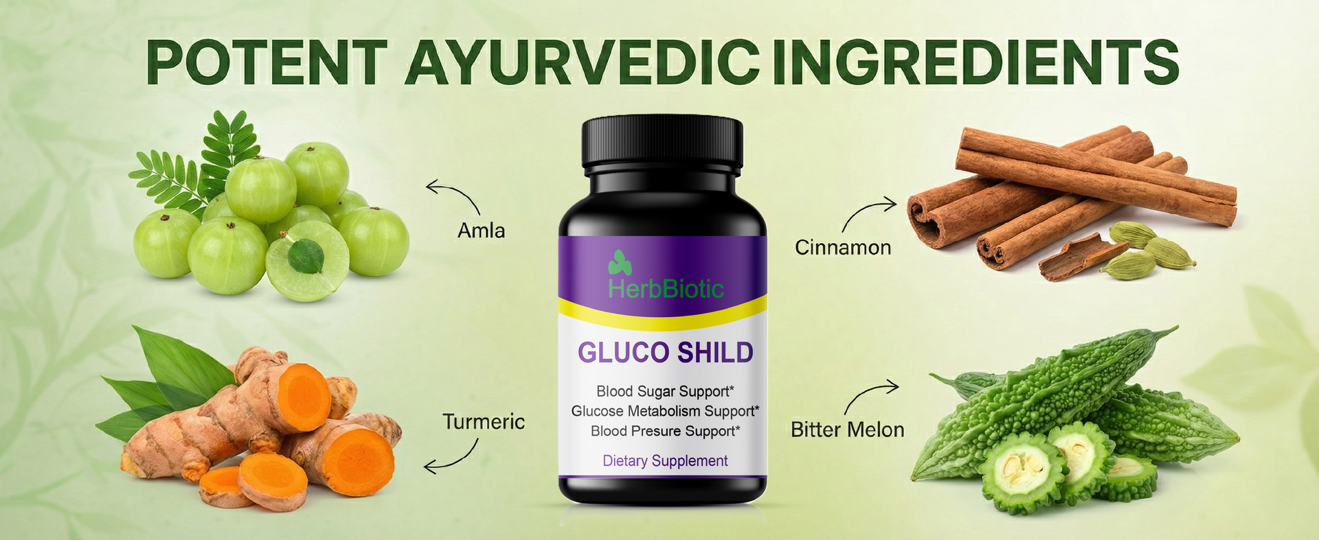 Gluco Shild Blood Sugar Control Capsules | Herbal Formula for Diabetes Care, Insulin Support & Glucose Balance | Enriched with Gudmar, Haridra, Karela & Neem – 60 Caps | gluco shield herb biotic