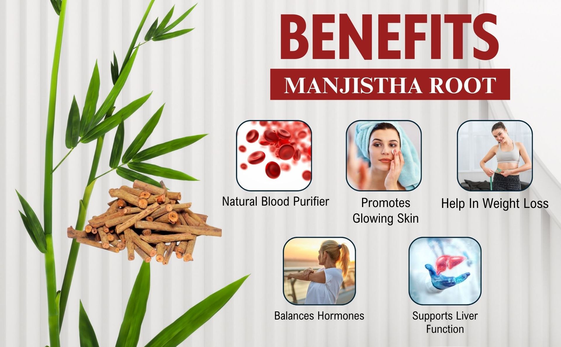 Brijbooti Organic Manjistha Root Sticks (100 gm) - Manjistha Stick Dried for Skin, Hair, Joint & Immune Support | Rubia Cordifolia | Indian Madder | FSSAI, GMP, ISO Certified