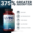 living-silica-orgono-mineral-based-colla-5.jpg
