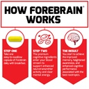 force-factor-forebrain-nootropic-brain-s-6.jpg