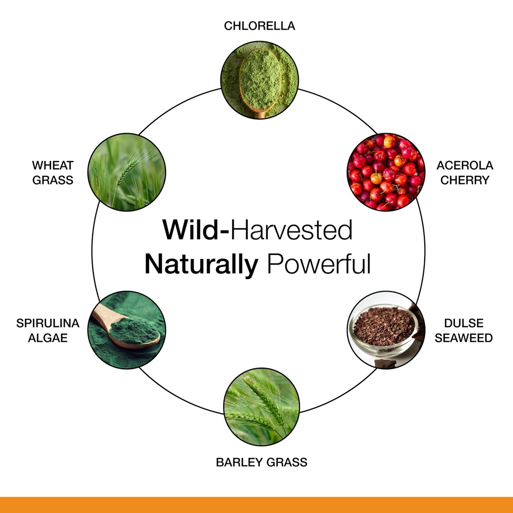 dr-schulze-s-superfood-100-everyday-supe-5.jpg