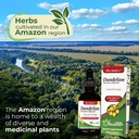 lab-dandelion-tincture-vegan-dandelion-r-3.jpg