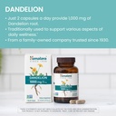 himalaya-dandelion-dandelion-root-supple-3.jpg