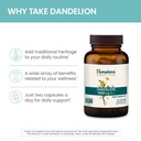 himalaya-dandelion-dandelion-root-supple-4.jpg