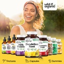 wild-organic-dandelion-root-capsules-liv-6.jpg