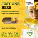wild-organic-dandelion-root-capsules-liv-5.jpg