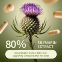 snap-supplements-liver-health-milk-thist-4.jpg