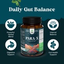 bundle-of-para-x-herbal-gut-health-suppl-4.jpg