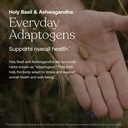 true-grace-one-daily-men-s-multivitamin--5.jpg