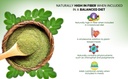 raslok-moringa-powder-100-pure-leaf-no-a-2.jpg