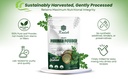 raslok-moringa-powder-100-pure-leaf-no-a-3.jpg