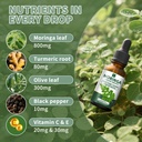 organic-moringa-liquid-drops-for-skin-gu-3.jpg