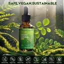 moringa-leaf-drops-with-vitamin-c-moring-4.jpg