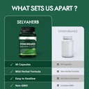 stone-breaker-chanca-piedra-capsules-for-5.jpg