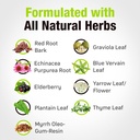 cedar-bear-lymphatic-cleanse-immune-supp-5.jpg