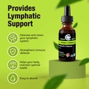 cedar-bear-lymphatic-cleanse-immune-supp-6.jpg