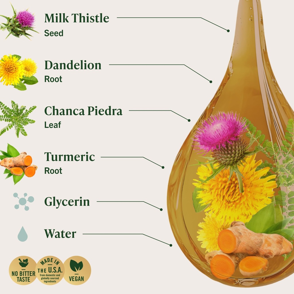 herbamama-liver-detox-liquid-drops-vegan-4.jpg
