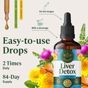 herbamama-liver-detox-liquid-drops-vegan-6.jpg