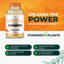 boswellia-serrata-extract-joint-support--3.jpg