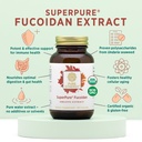 pure-synergy-superpure-fucoidan-extract--3.jpg