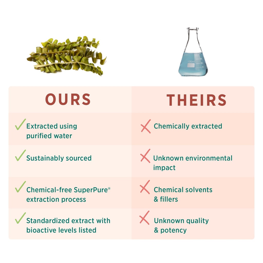 pure-synergy-superpure-fucoidan-extract--4.jpg