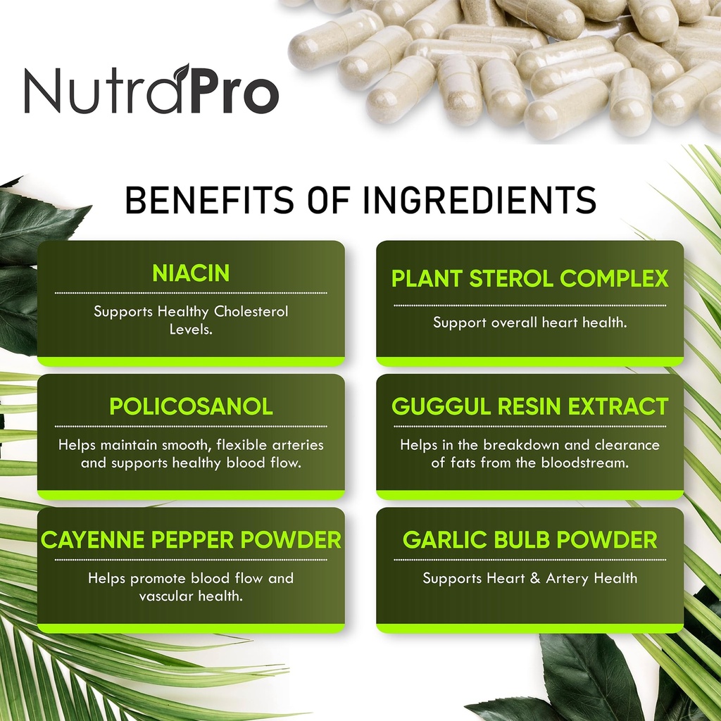 heart-health-cholesterol-supplements-cho-5.jpg