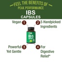 usda-organic-ibs-capsules-for-relief-ing-2.jpg