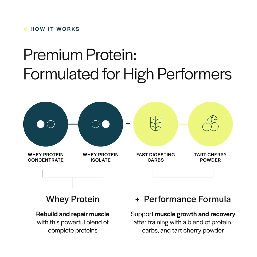 gainful-performance-whey-protein-powder--2.jpg