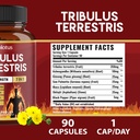 tribulus-terrestris-capsules-with-ashwag-4.jpg