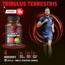 zolotus-premium-tribulus-terrestris-caps-6.jpg