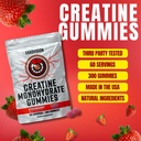 ekkovision-creatine-monohydrate-gummies--2.jpg