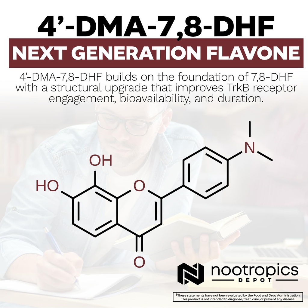 nootropics-depot-4-dma-7-8-dhf-nutrition-5.jpg