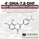 nootropics-depot-4-dma-7-8-dhf-nutrition-5.jpg