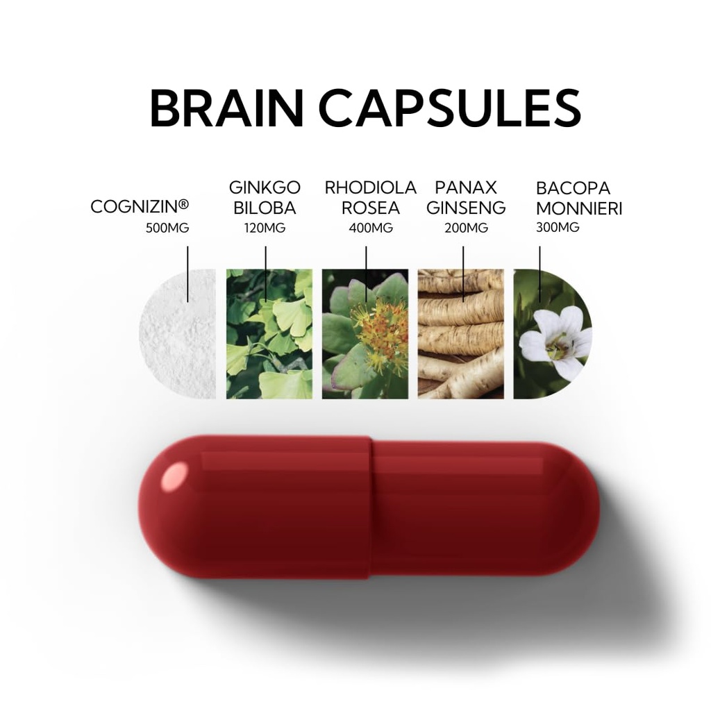 neutonic-nootropic-brain-supplement-1-mo-3.jpg