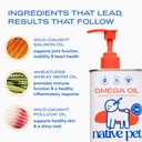 native-pet-ageless-energy-bundle-pack-ad-5.jpg