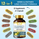 organic-veda-mullein-quercetin-turmeric--3.jpg