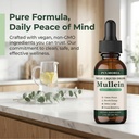 pulmoria-wild-mullein-drops-herbal-blend-5.jpg