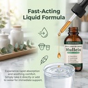 pulmoria-wild-mullein-drops-herbal-blend-6.jpg
