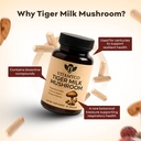 tiger-milk-mushroom-supplement-lignosus--2.jpg