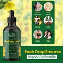 mila-miamor-mullein-drops-for-lungs-supp-5.jpg