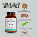 15-day-colon-cleanse-detox-gut-health-su-2.jpg
