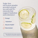 trace-minerals-zerolyte-salty-citrus-can-2.jpg